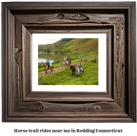 horse trail rides near me in Redding, Connecticut